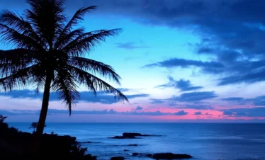hawaii ocean waves sunset dark skies palm trees