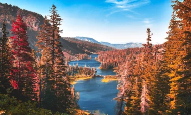 national parks yosemite fall leaves by creek mountains in background 2