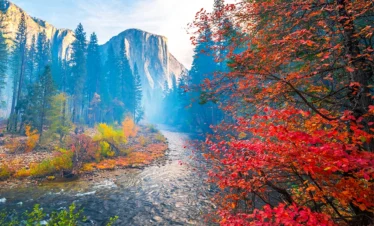national parks yosemite fall leaves by creek mountains in background